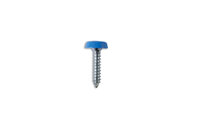 1" vehicle number plate fixing screws - blue.
